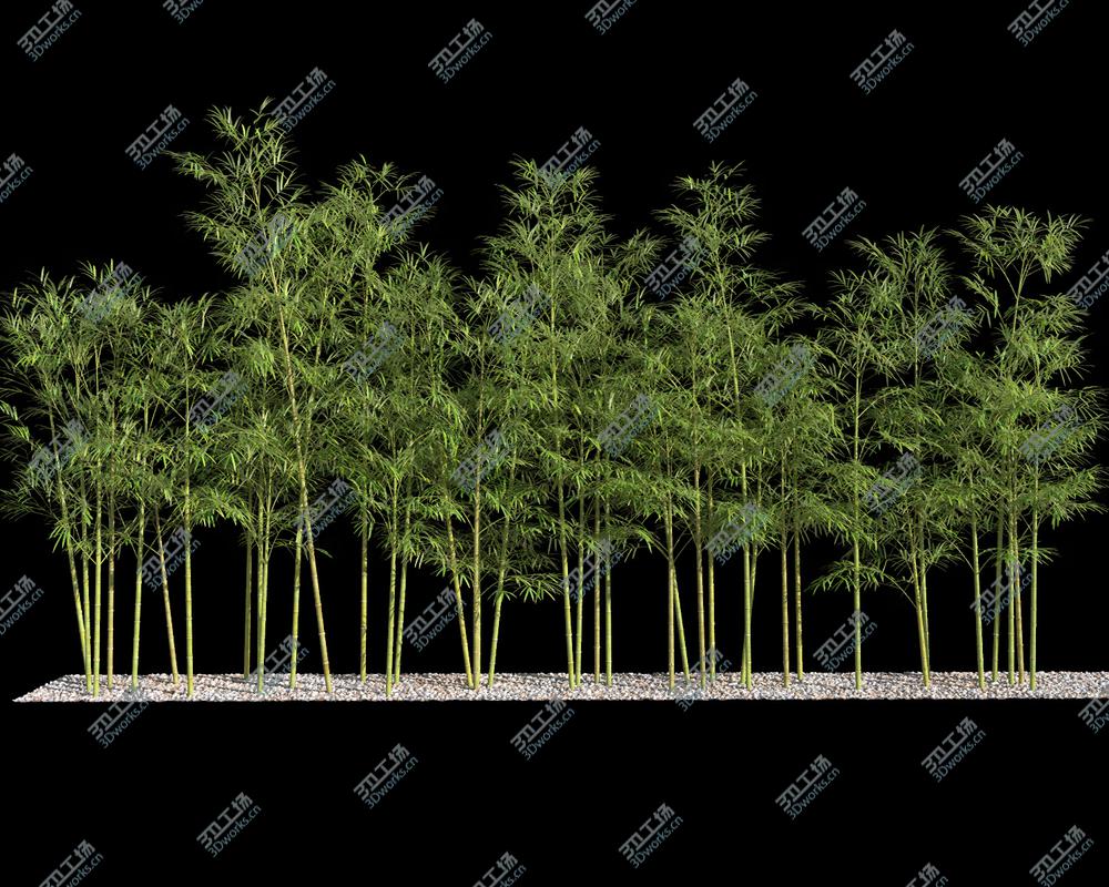 images/goods_img/20210313/Bamboo Trees 4 (GrowFX)/4.jpg